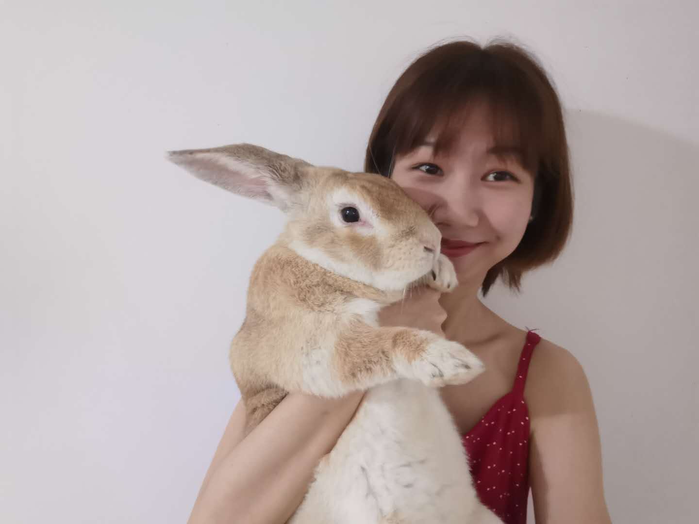 vivi chen